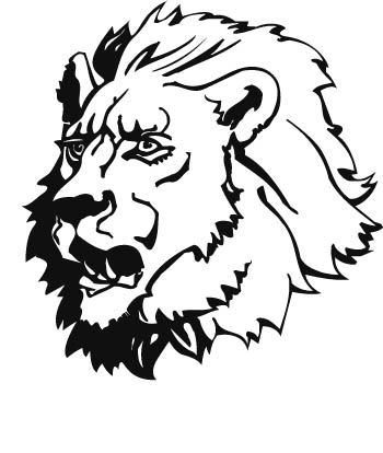 lion02-zmax