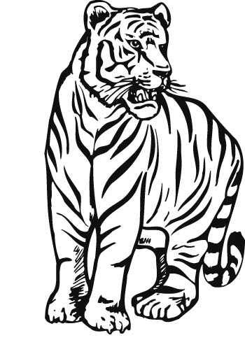 tiger16-zmax