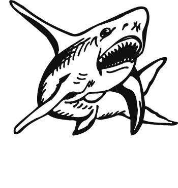 shark01-zmax