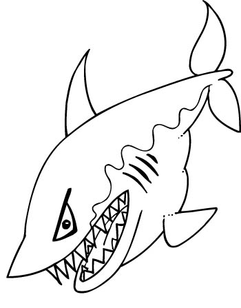shark09-zmax