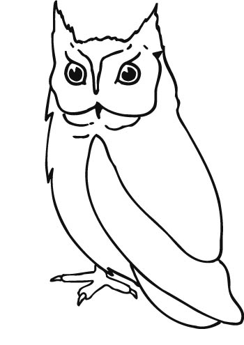 owl4-zmax