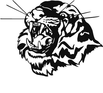 tiger06-zmax