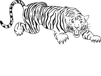 tiger23-zmax