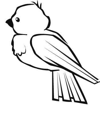 bird7-zmax