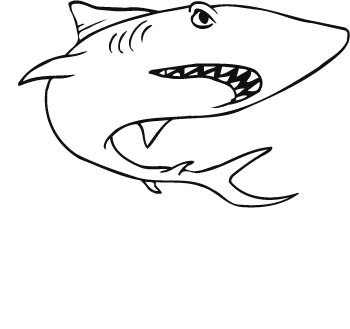 shark03-zmax