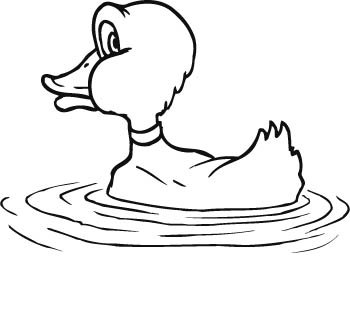 duck2-zmax