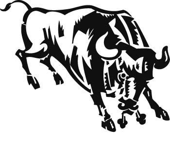 bull1-zmax