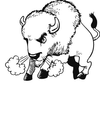 buffal09-zmax