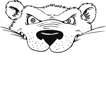 bear02-zmax