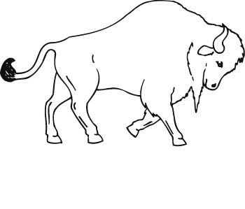 buffal08-zmax