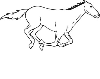 horse08-zmax