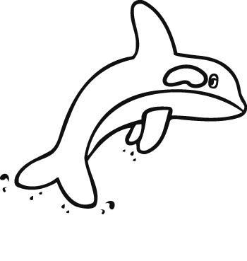 whale3-zmax