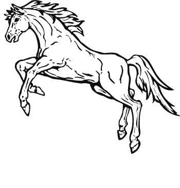 horse10-zmax