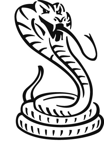 cobra2-zmax
