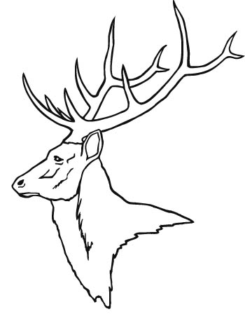 deer2-zmax