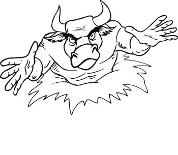 bull5-zmax