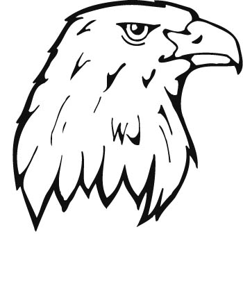 eagle06-zmax