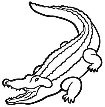 gators-adarts