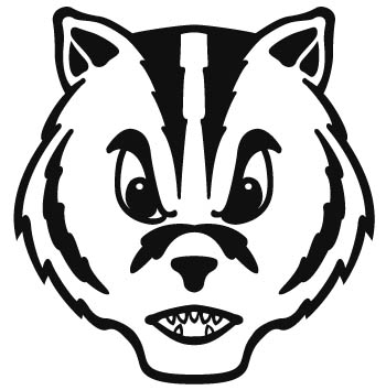 badgers-adarts