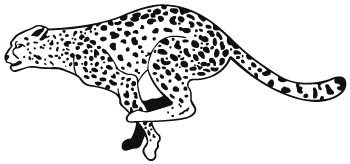 leopards-adarts