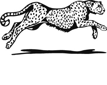 cheetah-zmax