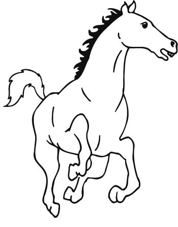 horse09-zmax