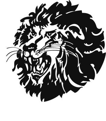 lion01-zmax