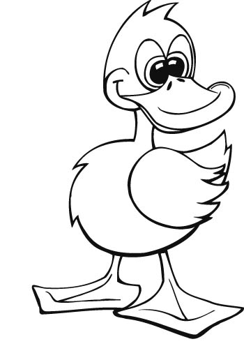 duck1-zmax